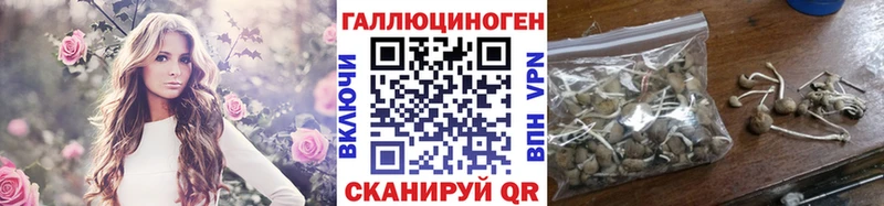 Галлюциногенные грибы Psilocybine cubensis  Буинск 